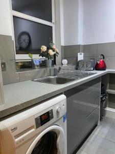 a kitchen with a washing machine under a sink at St Margaret's Loch Apartment in Edinburgh