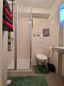 a bathroom with a shower and a toilet and a sink at Dark Jungle - Innenstadt für 4 Netflix Switch Waschtrockner in Gießen