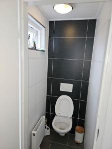uma casa de banho com um WC e uma parede de azulejos pretos em Chalet "Aan ut water" Elburg em Biddinghuizen