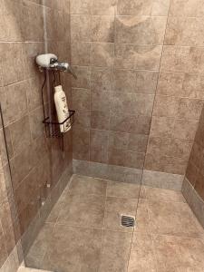 ducha con cabina de ducha de azulejos bronceadores y secador de pelo en Alojamientos Mestanza, en Baños de la Encina