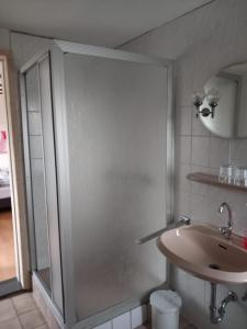 uma casa de banho com um chuveiro e um lavatório. em Gasthof Feische em Hellefeld