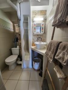 een kleine badkamer met toilet en wastafel bij Studio face à la mer au pied de la Marina in Le Marin