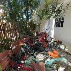 Gallery image of Brisa del mar Holbox in Holbox Island