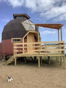 un perro tirado en la arena frente a una casa en la cúpula en Hermoso Domo con vista al Mar en Horcón en Horcón