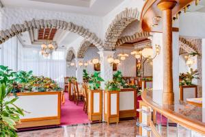 波茲塔納的住宿－塞內塔旅館，柜台上种有盆栽植物的餐厅