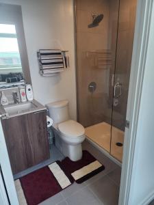La salle de bains est pourvue de toilettes, d'une douche et d'un lavabo. dans l'établissement Aethestic Apartment 2bedroom unit, à Vaughan