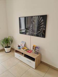 a television with a picture of a zebra on the wall at L'écrin des Oliviers in Grasse