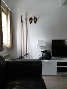 Televisyen dan/atau pusat hiburan di Jizera Cottage