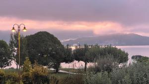 a view of a lake with a street light and trees at Le Chalet de la Plage in Sévrier