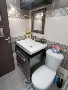 a bathroom with a toilet and a sink and a mirror at Comfy and Cosy Studio Kalamata in Kalamata