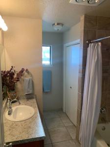 een badkamer met wastafel en douche bij Private Beach Volleyball Retreat 3 in Las Cruces