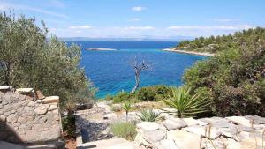 vistas a una gran masa de agua en House Biondina, en Vela Luka