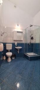 a bathroom with a toilet and a sink and a shower at Apartment Moli Onte Holiday in Milna