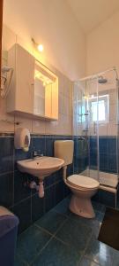 a bathroom with a toilet and a sink and a shower at Apartment Moli Onte Holiday in Milna
