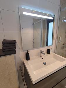 W łazience znajduje się umywalka i lustro. w obiekcie Vakantiewoningen Eyveld w mieście Beesel