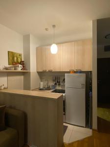 Il comprend une cuisine équipée d'un réfrigérateur et d'un comptoir. dans l'établissement Delta Apartman, à Podgorica