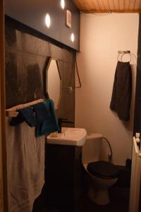 un bagno con lavandino, WC e specchio di Studio à la campagne proche du lac a Chenereilles