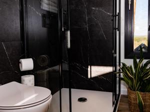 W łazience znajduje się toaleta i przeszklony prysznic. w obiekcie Brama Do Lasu - Domek w Koronach Drzew w Kielcach