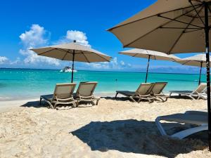 a group of chairs and umbrellas on a beach at Cuxos Hotel Beachfront in Isla Mujeres