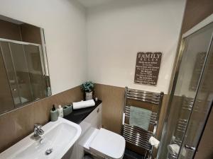 a bathroom with a sink and a toilet and a mirror at Cherrybank apartment in Perth
