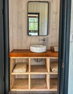 a bathroom with a sink and a mirror at Carintia Cabins in Puerto Varas