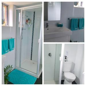 three pictures of a bathroom with a shower and a toilet at The Glade, peace among the trees on the river in Urunga