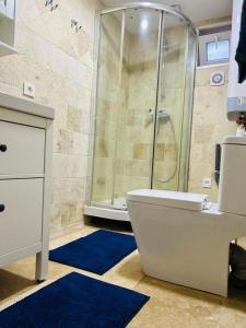 德朗西Petite Maison Proche aéroport Charles de Gaulles的带淋浴、卫生间和盥洗盆的浴室