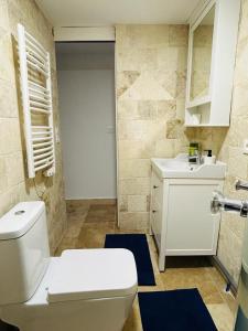 a bathroom with a white toilet and a sink at Petite Maison Proche aéroport Charles de Gaulles in Drancy