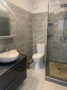 een badkamer met een toilet, een wastafel en een douche bij Le Tamarinier in Sainte-Anne