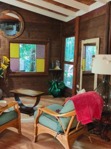 a living room with a chair and windows at Springbrook Storybook in Springbrook