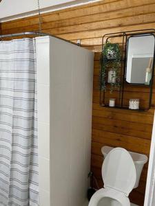 a bathroom with a toilet and a sink and a mirror at Charming Nordic Style - 2BR + 1 Bath Entire House in Sudbury