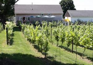 Zahrada ubytování The Langworthy Inn & Winery