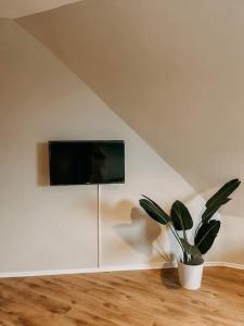 a plant in a room with a tv on a wall at Nachbar des Weltkulturerbes Zeche Zollverein! GE1R in Essen