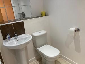 a bathroom with a white toilet and a sink at Apartment D201 in Northampton