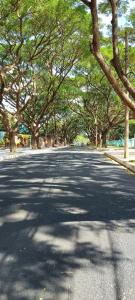 een lege straat met bomen aan de zijkanten van de weg bij SKY HOMESTAY in Buon Ma Thuot