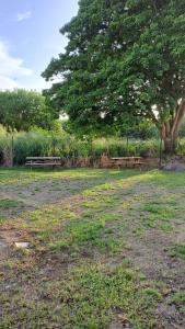 A garden outside La Kay Cassi