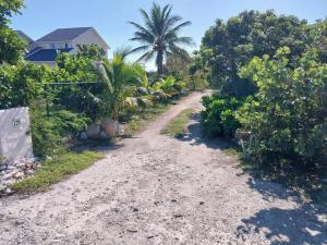 a dirt road in front of a house with palm trees at Apartment near Grace Bay Beach in Providenciales