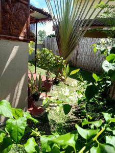 a garden with a lot of plants and a fence at Panglao Vacation Home in Panglao Island