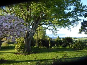 Gallery image of Fig Tree Cottage in Greytown