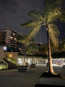 a group of palm trees in a courtyard at night at Santa Mônica Barra in Rio de Janeiro