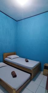 two beds in a room with a blue wall at Raja Ampat Sandy Guest House in Saonek