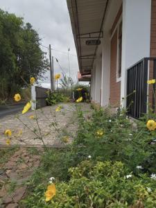 a yard with yellow flowers in front of a house at Windy Hanthana in Kandy