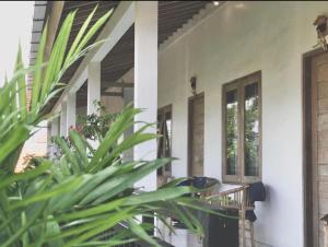 a front porch of a house with a plant at Double D Guest House Canggu in Canggu