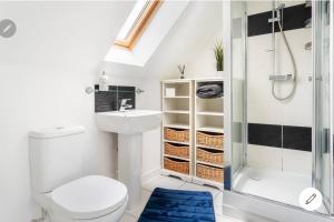 a bathroom with a toilet sink and a shower at Dartford Terrace Lakefront in Kent +21 photos