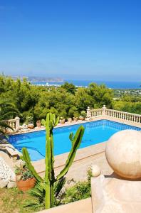 a large swimming pool with a cactus in a yard at Villa Javea in Jávea