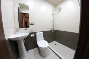 a bathroom with a toilet and a sink at Shara Talyan 8/2 Guest House in Yerevan