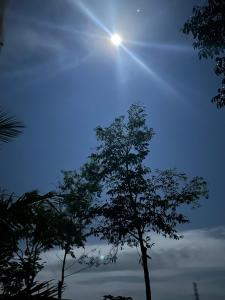 um sol no céu com árvores no primeiro plano em B house em Thôn Hòa Ða