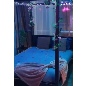 a bedroom with a canopy bed with flowers and lights at Paris Rosny 2 - Appartement Love Room with Jacuzzi in Rosny-sous-Bois