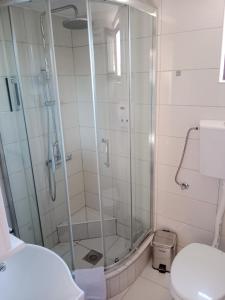 a bathroom with a shower and a toilet at Zaovinska Panorama I in Bajina Bašta