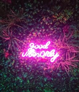 a neon sign that saysgood wednesday in a bush at Jacuzzi Love room appartement Proche Paris in Rosny-sous-Bois